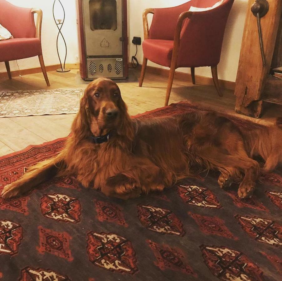 Albergo Aprica Garni Esterno foto